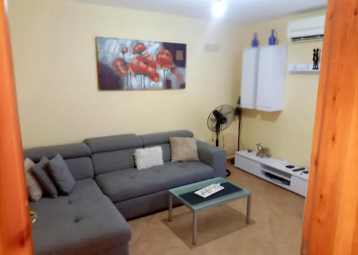 Salis * Polisi i Vogel